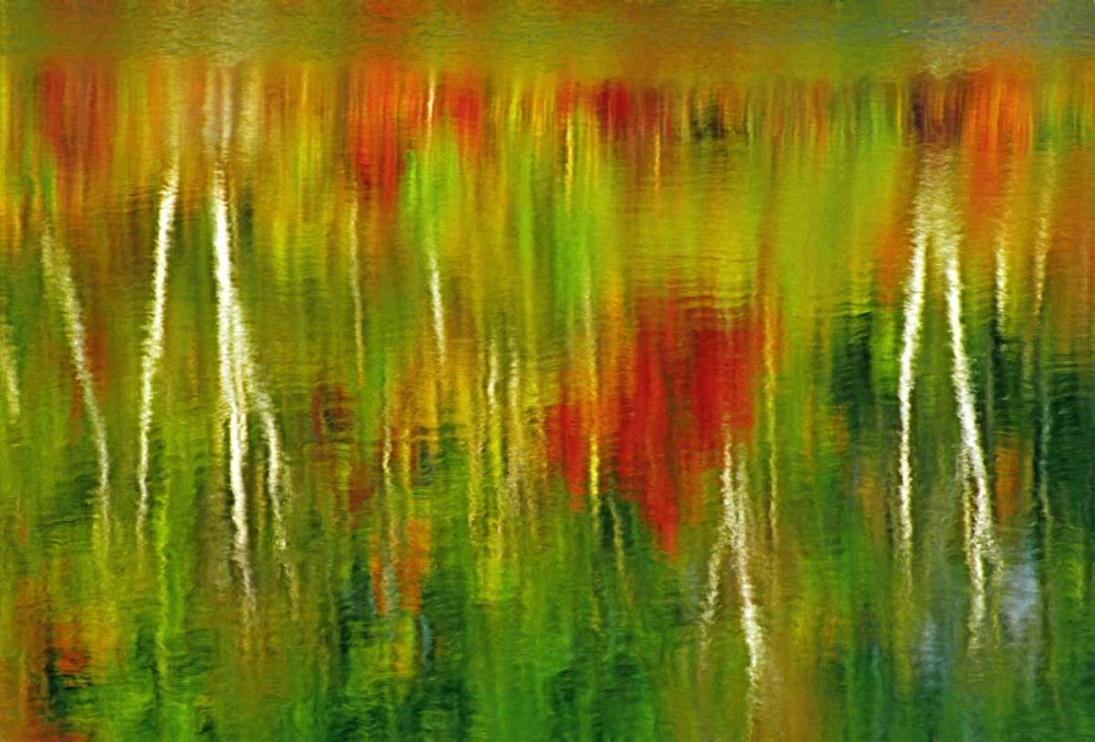 Canada Fall reflection in St Poithier Lake art print by Mike Grandmaison for $57.95 CAD